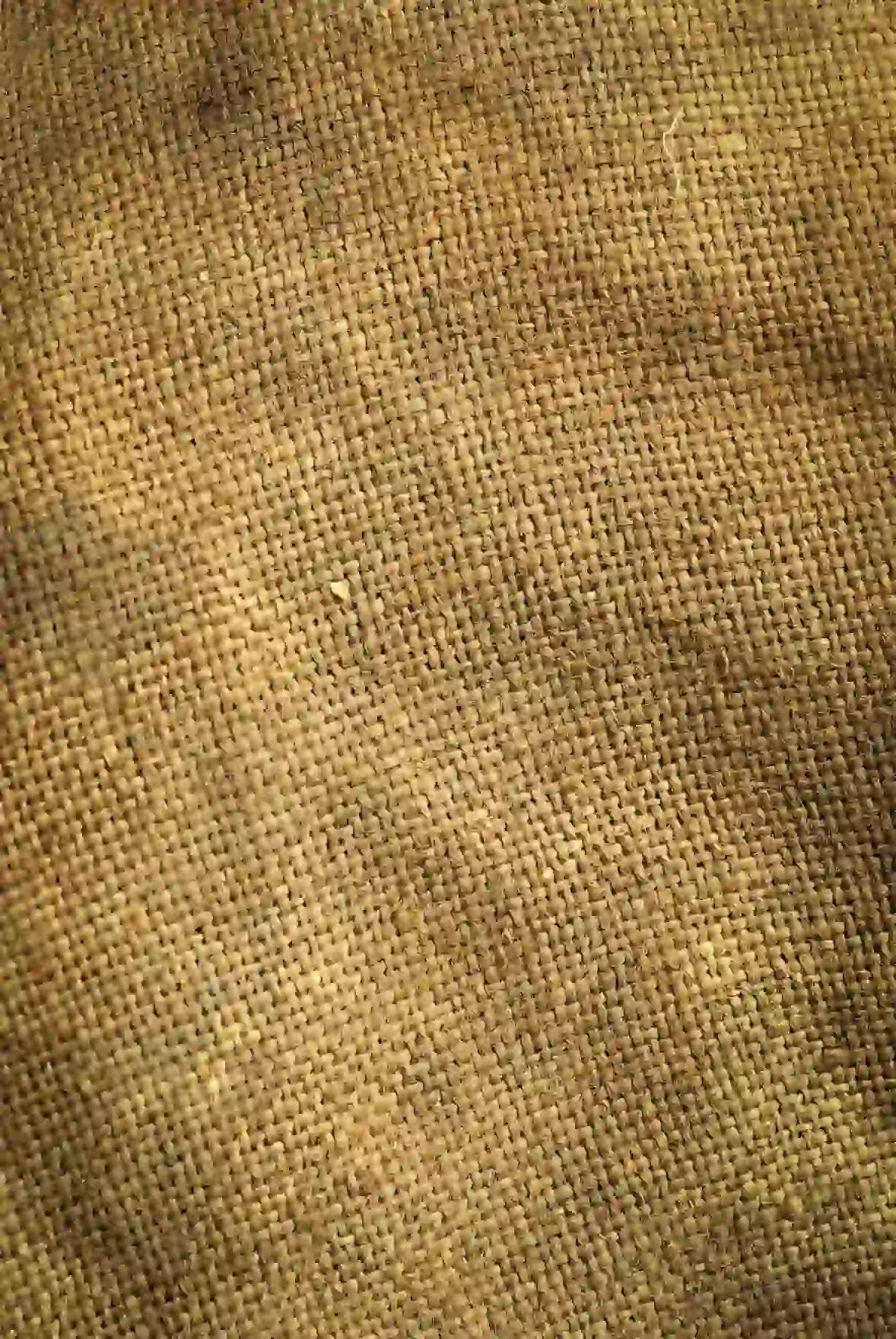 mesh bag